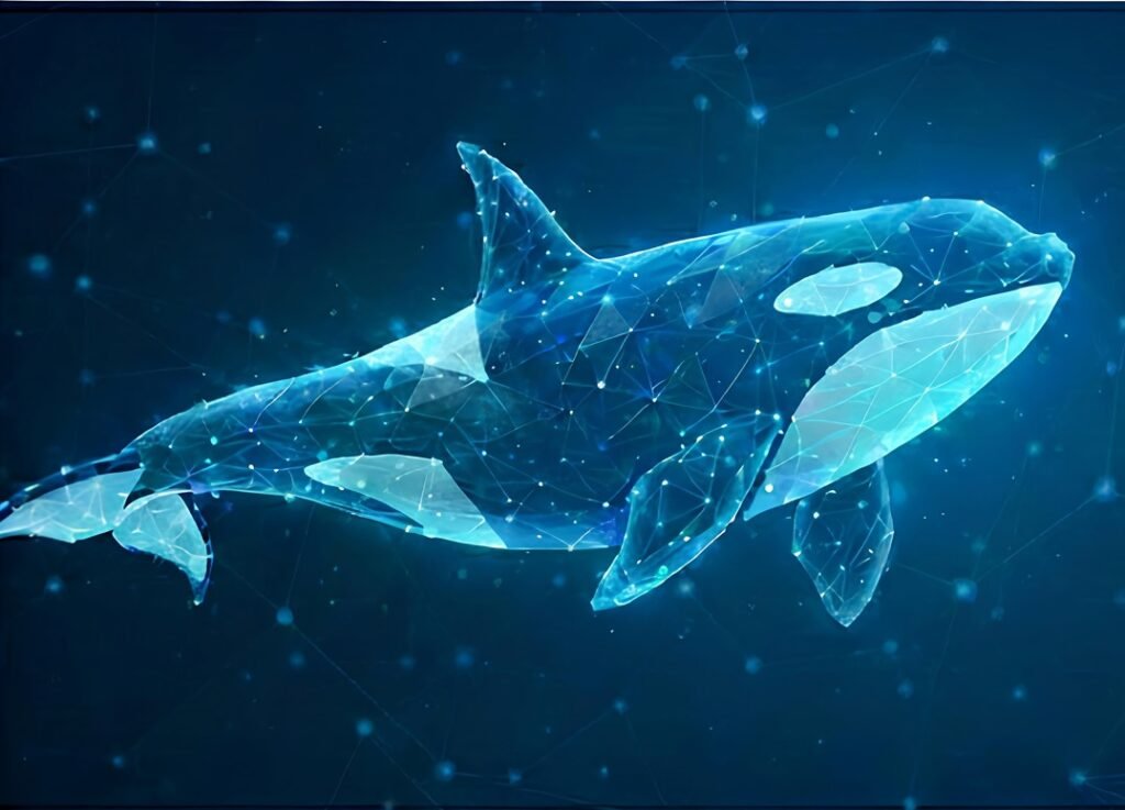 ORCAWEB DIGITAL: Built to Help Brands Dominate the Digital Ocean